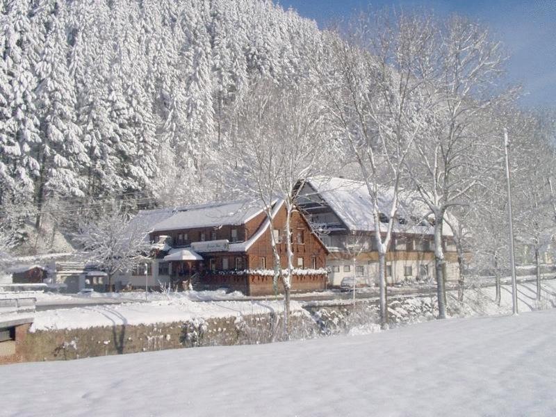 Gruener Hof Hotel Zell am Harmersbach Ngoại thất bức ảnh