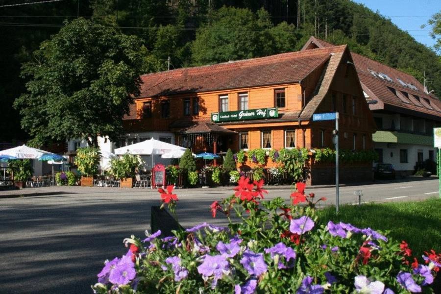 Gruener Hof Hotel Zell am Harmersbach Ngoại thất bức ảnh